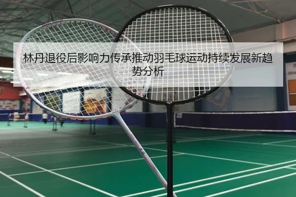 林丹退役后影响力传承推动羽毛球运动持续发展新趋势分析