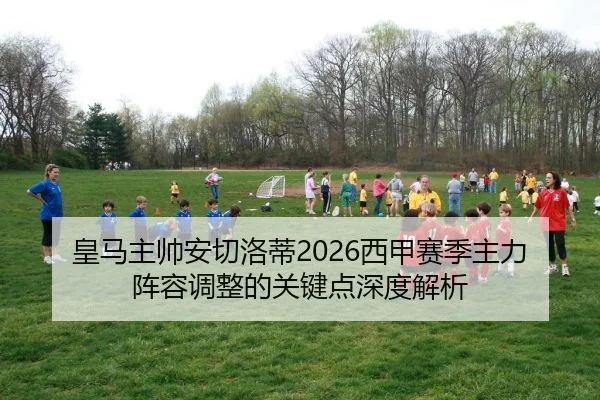 huang-ma-zhu-shuai-an-qie-luo-di-xi-jia-sai-ji-zhu-li-zhen-rong-tiao-zheng-de-guan-jian-dian-shen-du-jie-xi-2-250.jpg