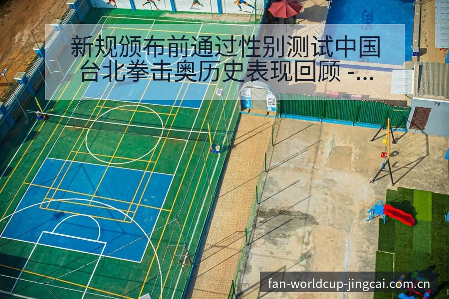 新规颁布前通过性别测试中国台北拳击奥历史表现回顾 - 世界杯